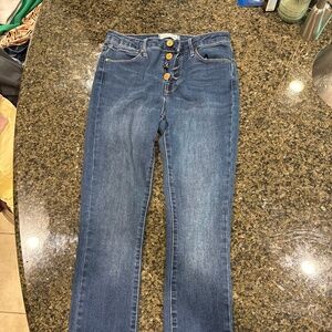 Articles of society crop skinny jeans
